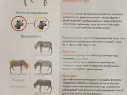 Снимка: Община Сливен