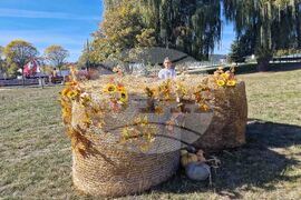 Самоков - парк „Крайискърец" - есенна украса