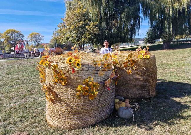 Самоков - парк „Крайискърец" - есенна украса