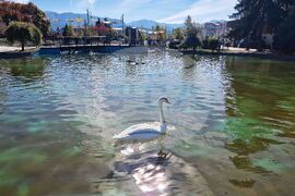Самоков - парк „Крайискърец" - есенна украса