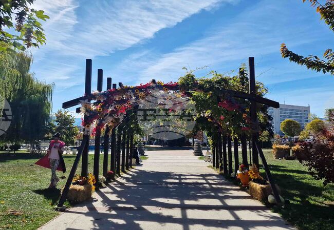 Три деца – на осем, десет и единадесет години, са пребили момче на десет години в градския парк в Самоков, съобщиха от полицията