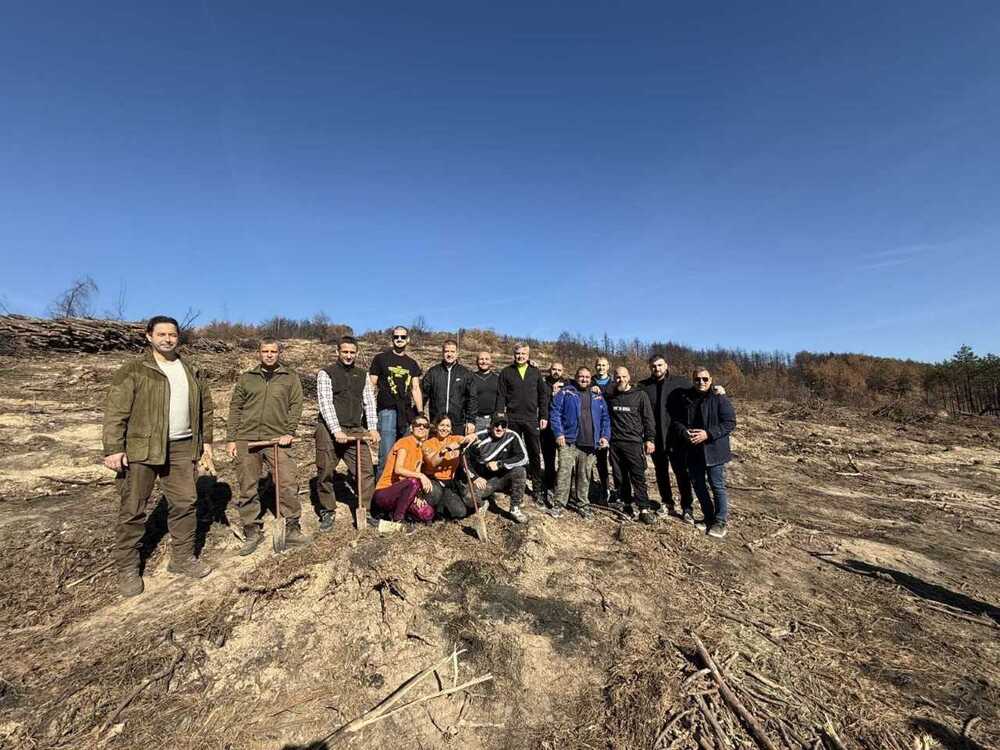 Започна залесителната кампания за възстановяване на изгоряла горска територия в местността Седми километър край Стара Загора