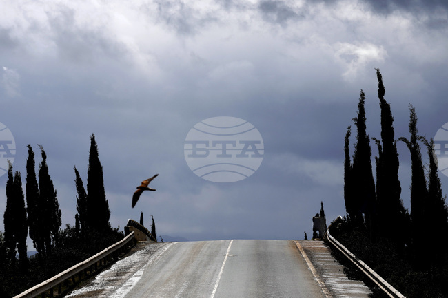 Стотици мъртви птици бяха открити край магистрала в Гърция