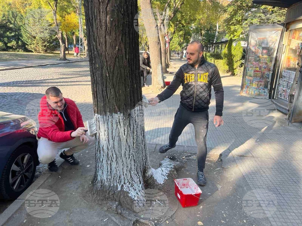 Еко инициатива в район „Южен” проведоха младежите от ГЕРБ - Пловдив