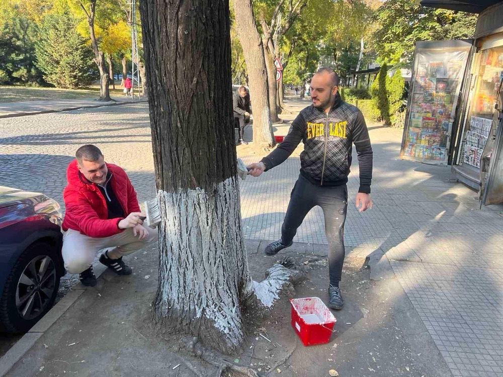 Еко инициатива в район „Южен” проведоха младежите от ГЕРБ - Пловдив