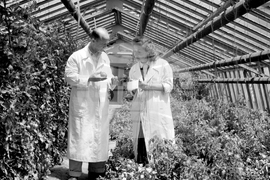 Професионален празник на работещите в областта на българската земеделска наука