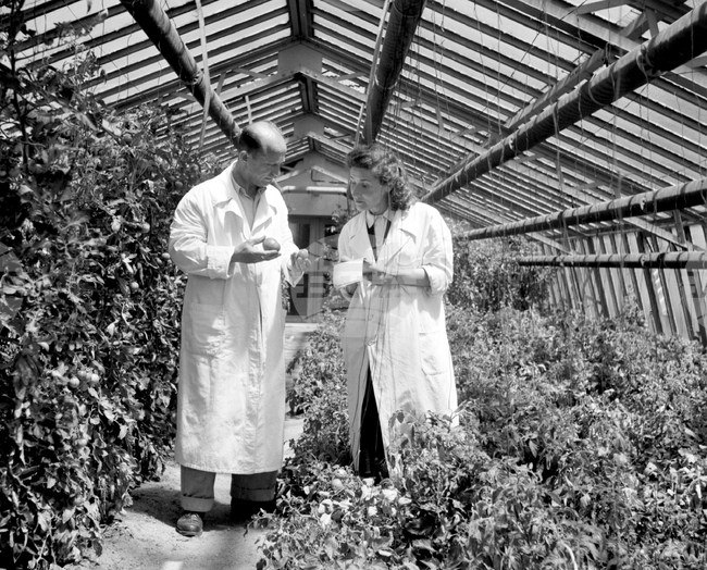 Професионален празник на работещите в областта на българската земеделска наука