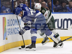 Wild Lightning Hockey