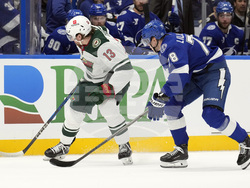 Wild Lightning Hockey