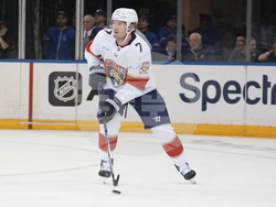 Panthers Rangers Hockey