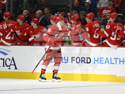 Devils Red Wings Hockey