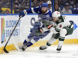 Wild Lightning Hockey