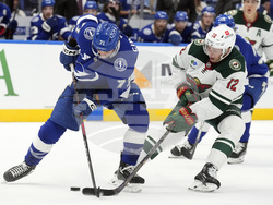 Wild Lightning Hockey