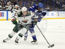 Wild Lightning Hockey