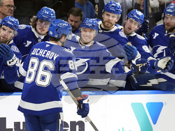 Wild Lightning Hockey