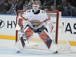 Panthers Rangers Hockey