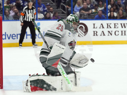 Wild Lightning Hockey