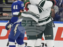 Wild Lightning Hockey