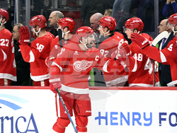 Devils Red Wings Hockey