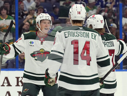 Wild Lightning Hockey