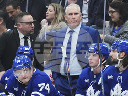Blues Maple Leafs Hockey