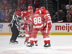 Devils Red Wings Hockey