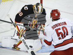 Hurricanes Flames Hockey