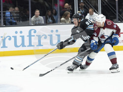 Avalanche Utah Hockey