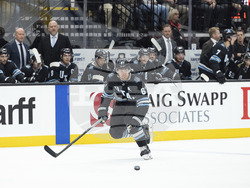 Avalanche Utah Hockey