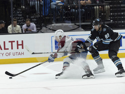 Avalanche Utah Hockey