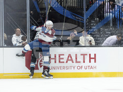 Avalanche Utah Hockey