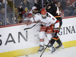 Hurricanes Flames Hockey