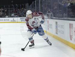 Avalanche Utah Hockey
