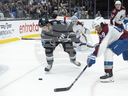 Avalanche Utah Hockey
