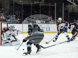 Avalanche Utah Hockey