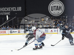 Avalanche Utah Hockey
