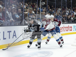 Avalanche Utah Hockey