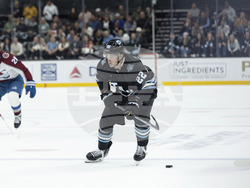 Avalanche Utah Hockey