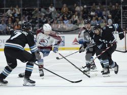 Avalanche Utah Hockey