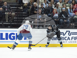 Avalanche Utah Hockey