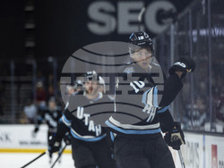 Avalanche Utah Hockey