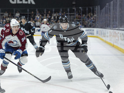 Avalanche Utah Hockey