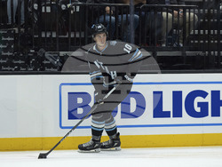 Avalanche Utah Hockey