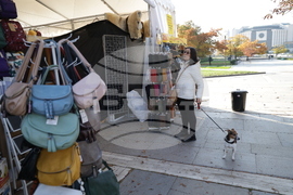 Търговското изложение "Доверете се на българското"