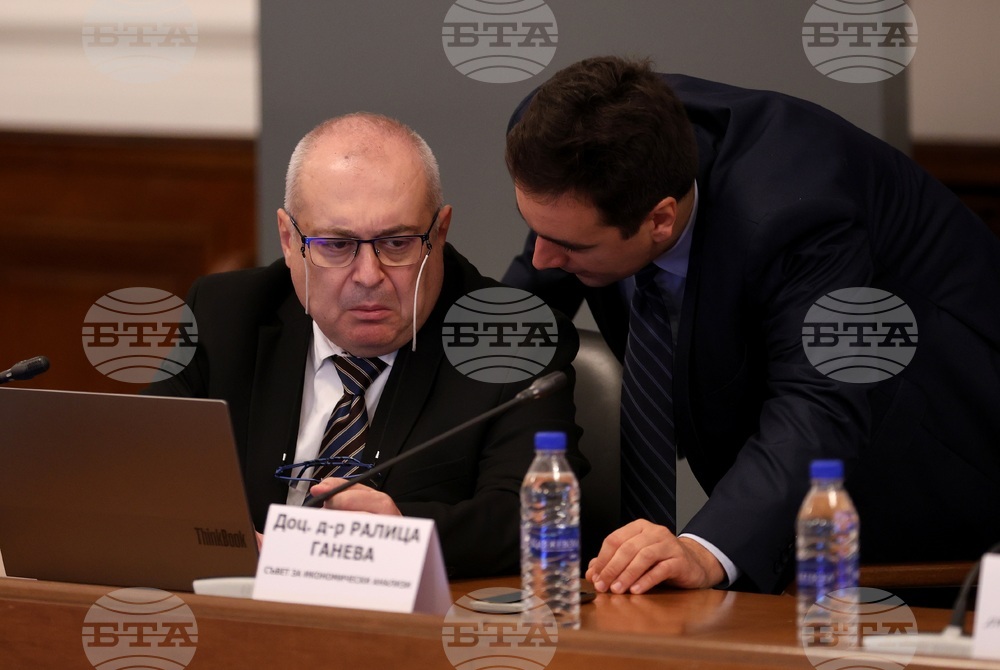 Министерския съвет - „Демографски предизвикателства пред българската икономика" - анализ