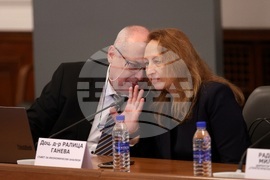 Министерския съвет - „Демографски предизвикателства пред българската икономика" - анализ