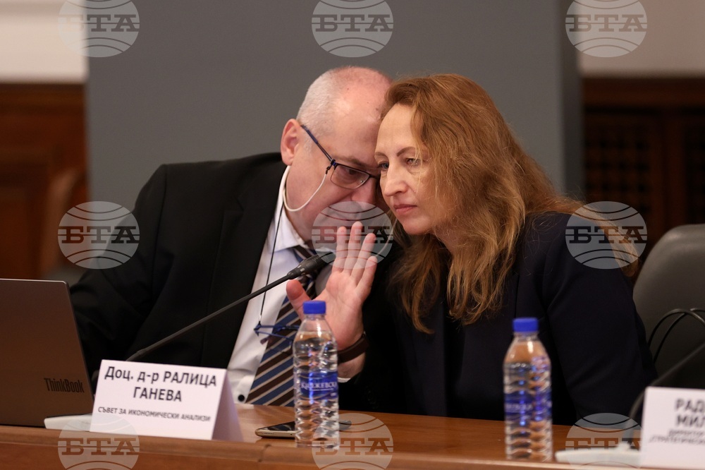 Министерския съвет - „Демографски предизвикателства пред българската икономика" - анализ