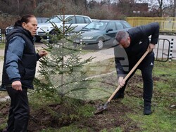 Хасково - Днес в парк Ямача бяха засадени коледни елхички. Инициативата е на Българска асоциация на хора с онкологични и други заболявания " Живот“ с председател Минка Арабаджиева.
