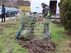 Хасково - Днес в парк Ямача бяха засадени коледни елхички. Инициативата е на Българска асоциация на хора с онкологични и други заболявания " Живот“ с председател Минка Арабаджиева.