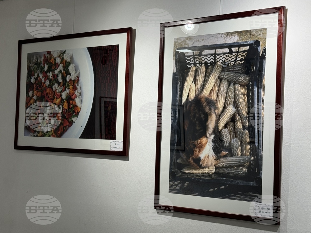 Казанлък - "На село" - изложба